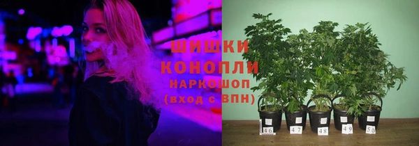 эйфоретик Медвежьегорск