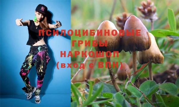 эйфоретик Медвежьегорск